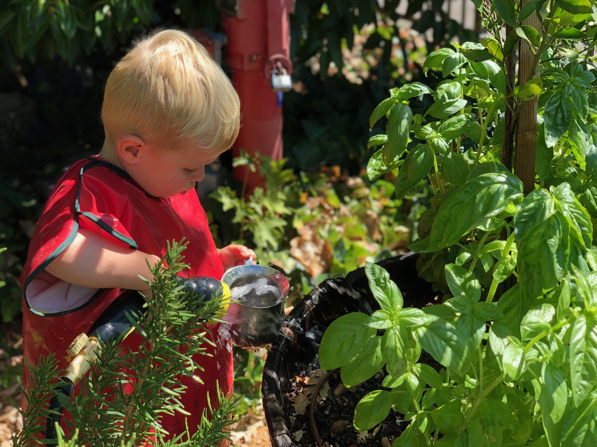 Child watering plants in the TRP garden