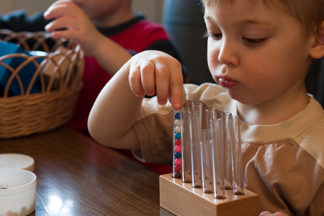 Kindergarten Readiness