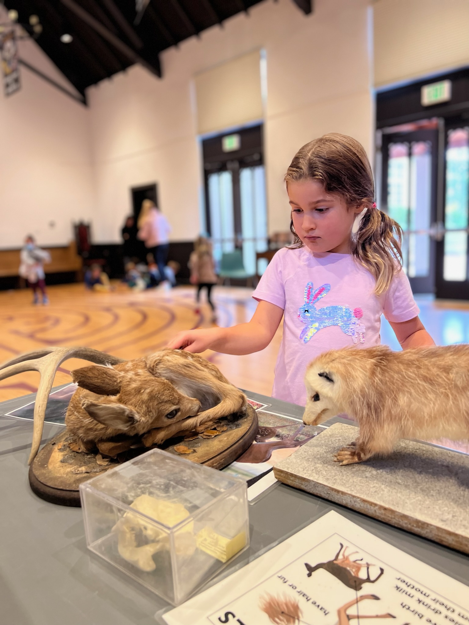 Children experiencing WildCare nature enrichment at The Ross Preschool